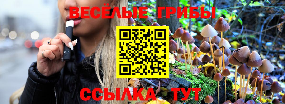 Псилоцибиновые грибы мицелий Александров