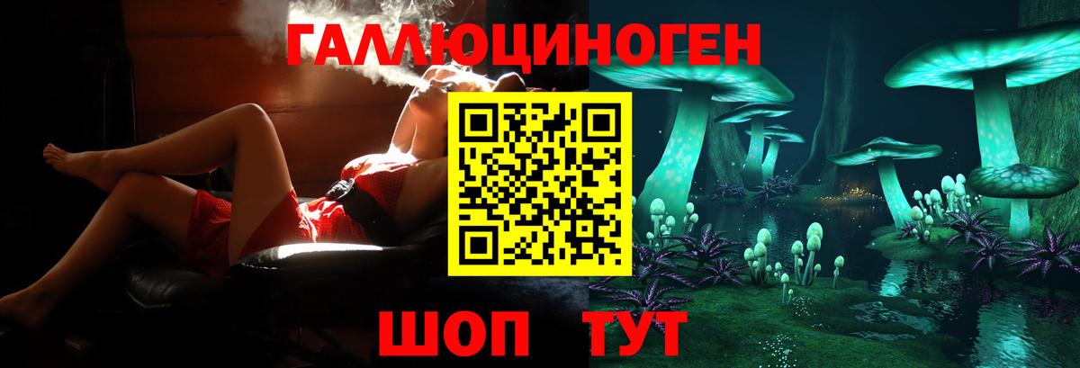 Псилоцибиновые грибы MAGIC MUSHROOMS  Вход с VPN  Александров 
